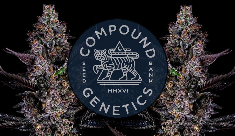COMPOUND