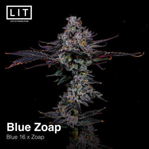 BLUE ZOAP